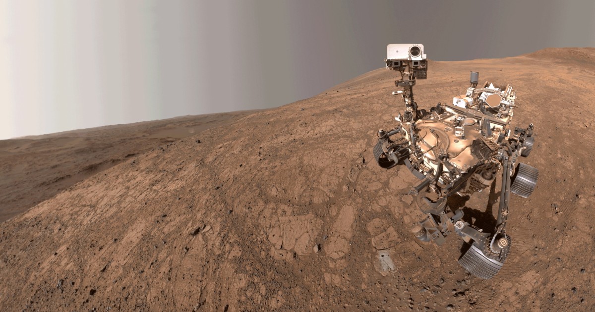 NASA's Mars Perseverance snaps a selfie as a Martian dust devil blows by