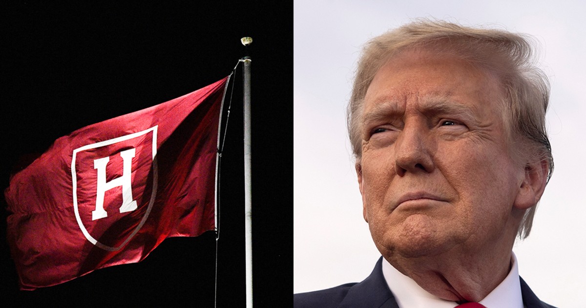 Opinion | Trump wants to ban international students from Harvard — but Americans will suffer