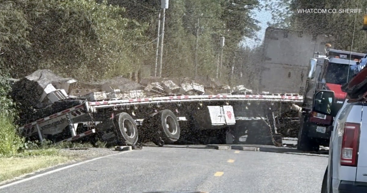 Volunteer beekeepers swarm to rescue spilled hives after crash