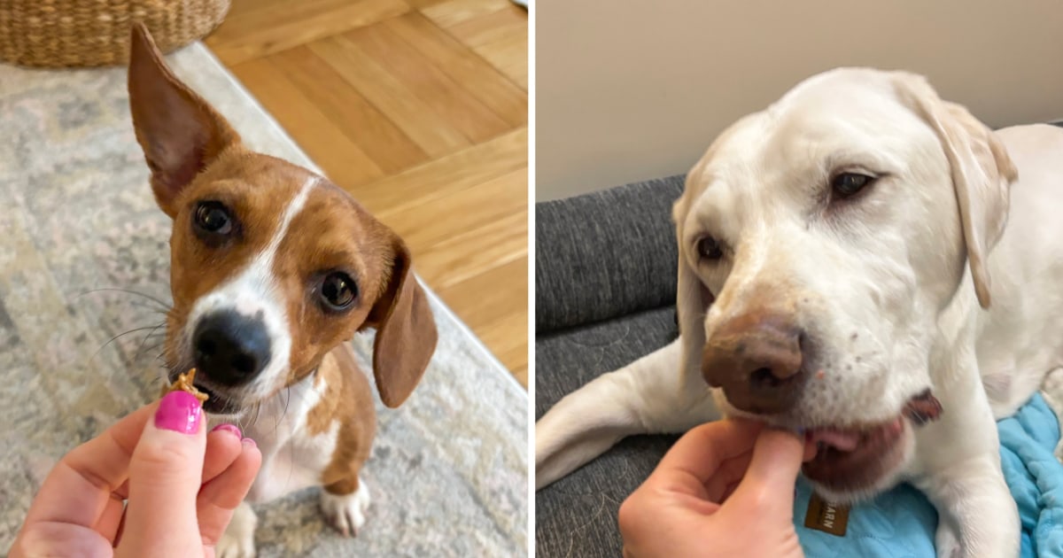 The Best Dog Training Treats, According To Experts NBC Select