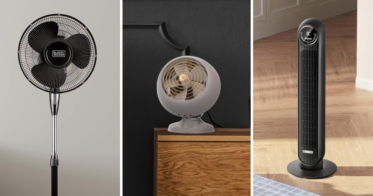 11 Best Fans to Keep You Cool in 2025