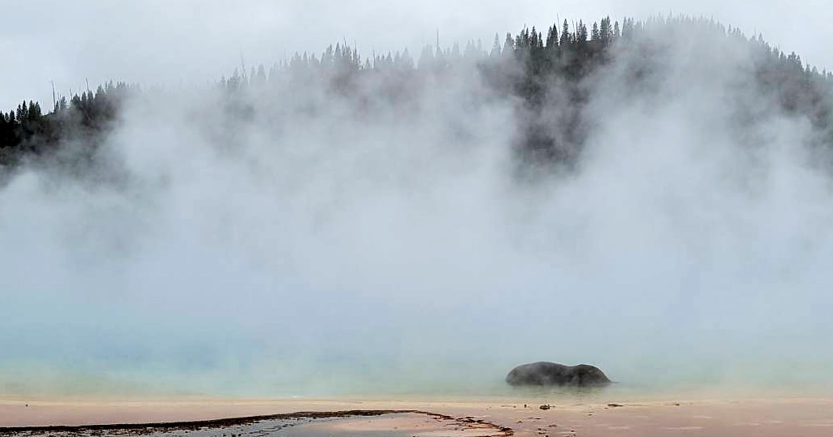Bison dies after appearing to fall into popular Yellowstone hot spring