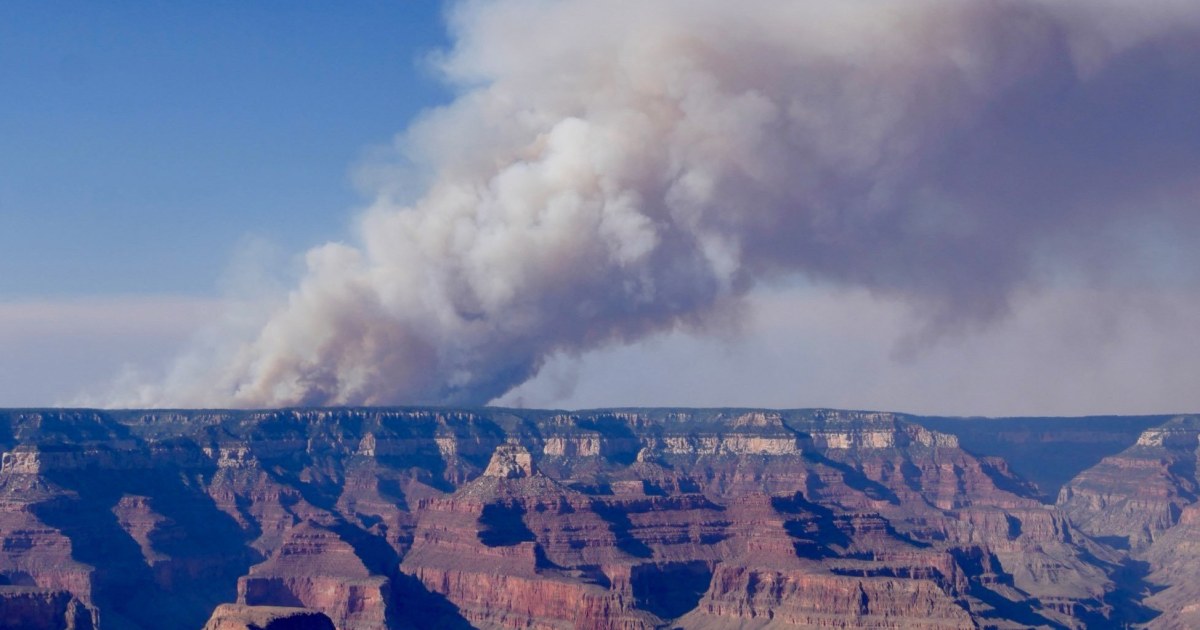 Arizona Officials Demand Investigation Into Grand Canyon Wildfires Destroying 55,000 Acres