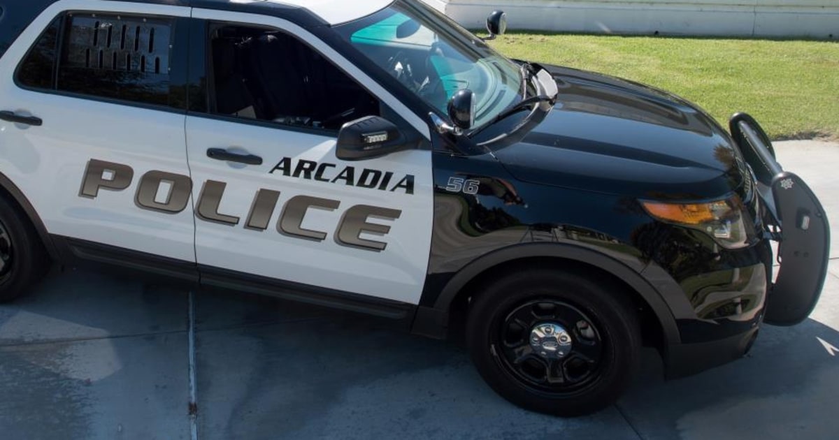 21 children birthed by surrogate mothers found in Arcadia home