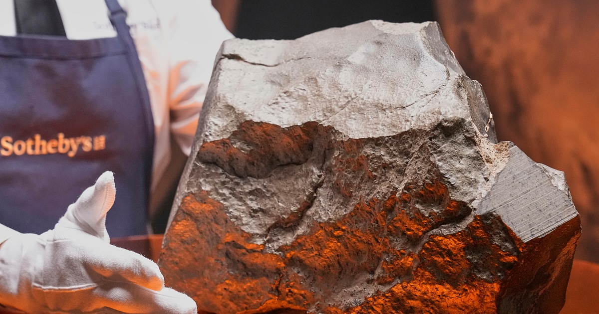 Largest piece of Mars on Earth sells for $5.3 million at auction, but young dinosaur steals the show