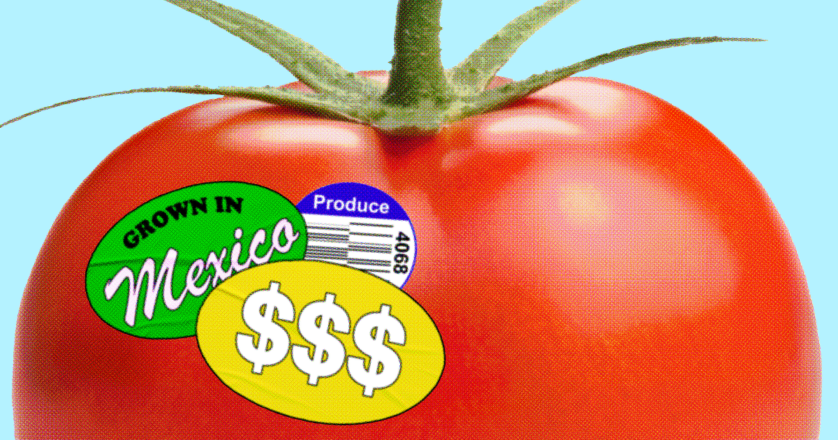 Greenhouse growers take aim at U.S. 'tomato tax' on Mexican imports