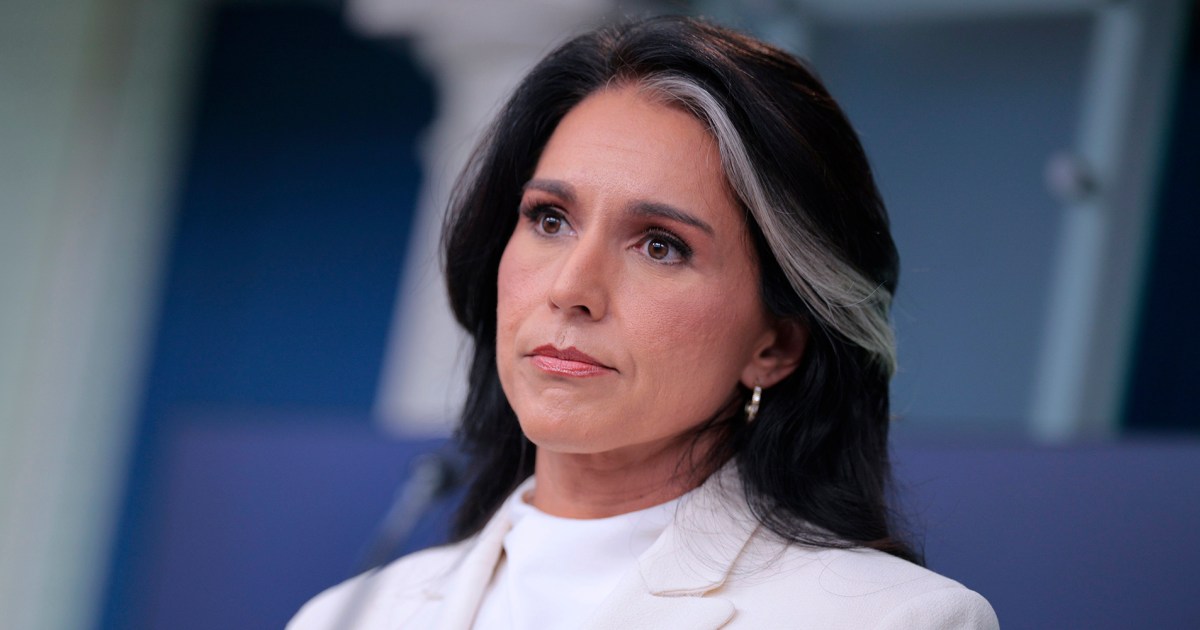 Gabbard and White House ‘lying’ about intel on Russian interference in 2016, ex-CIA official says