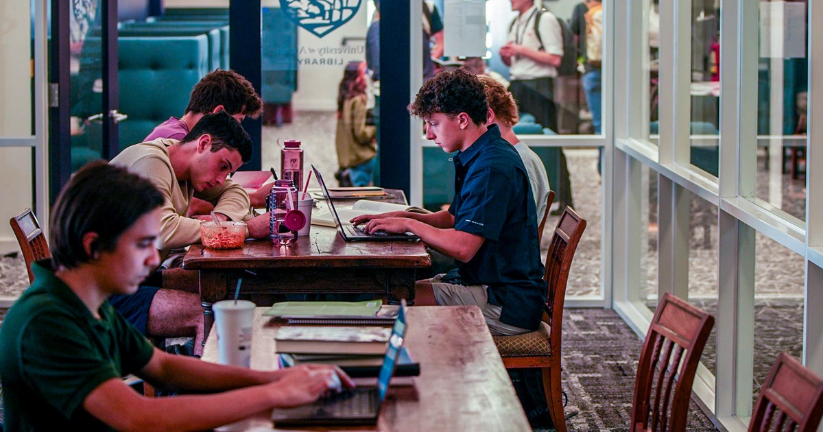 The antiwoke academics supporting Trump’s attack on universities like Harvard, Columbia