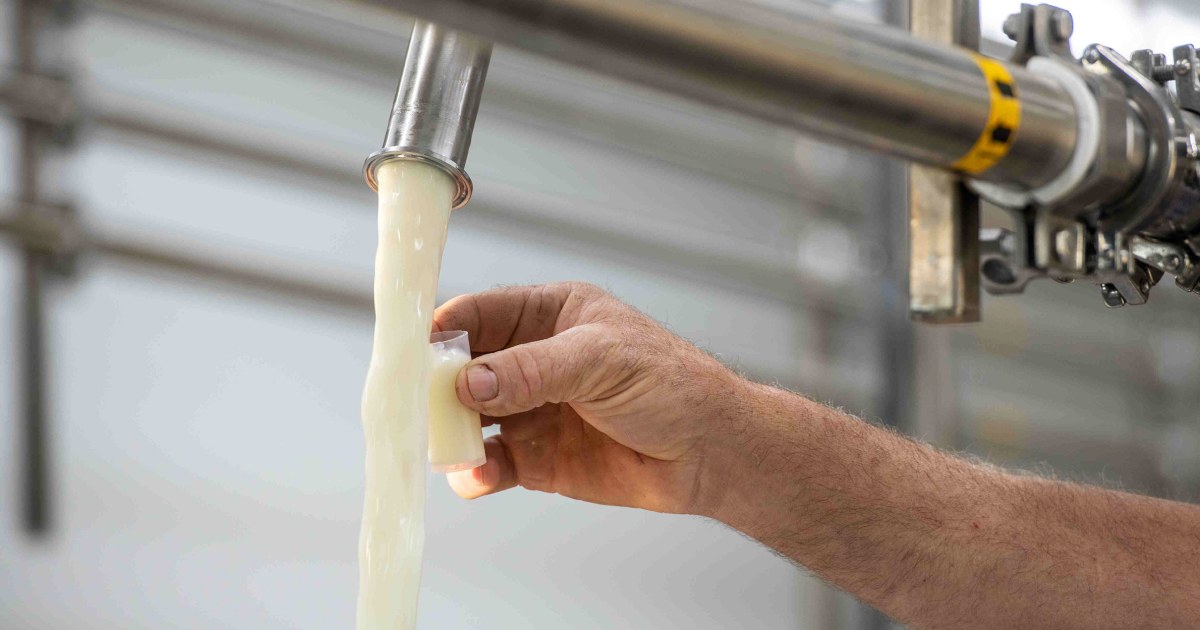 Woman, saying raw milk sickened her toddler and led to loss of unborn baby, sues Florida dairy farm