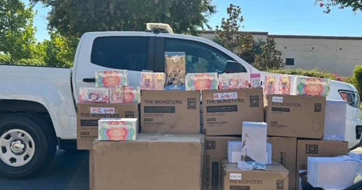 $30,000 worth of stolen Labubus recovered by police in California