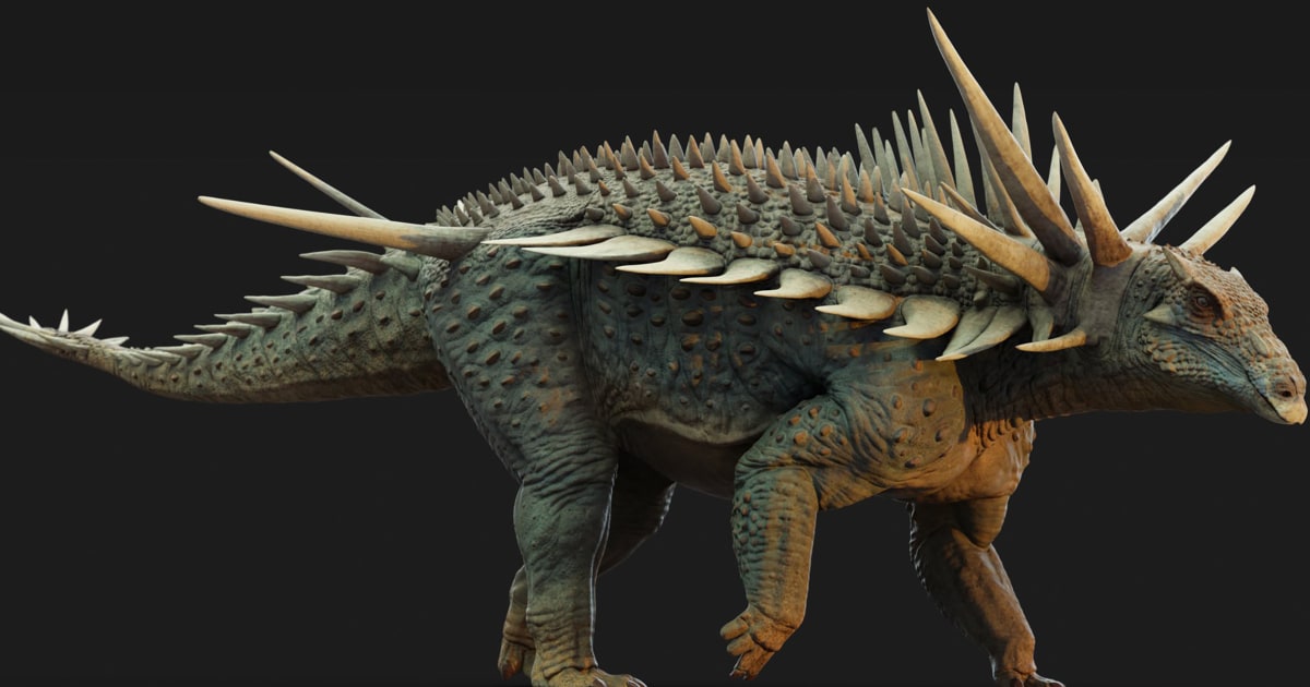 Spikes, a tail weapon and a shield: Was this the world's weirdest dinosaur?