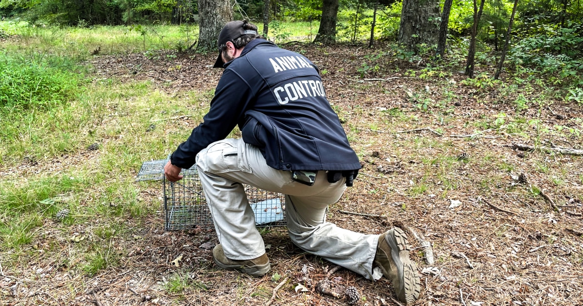 CDC warns of a summer spike in rabies exposures