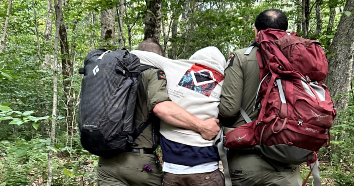 Hikers experiencing 'debilitating high' from magic mushrooms rescued from New York wilderness