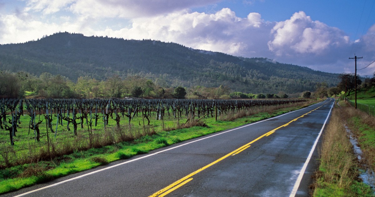 Six dead following solo car crash in Napa County, California