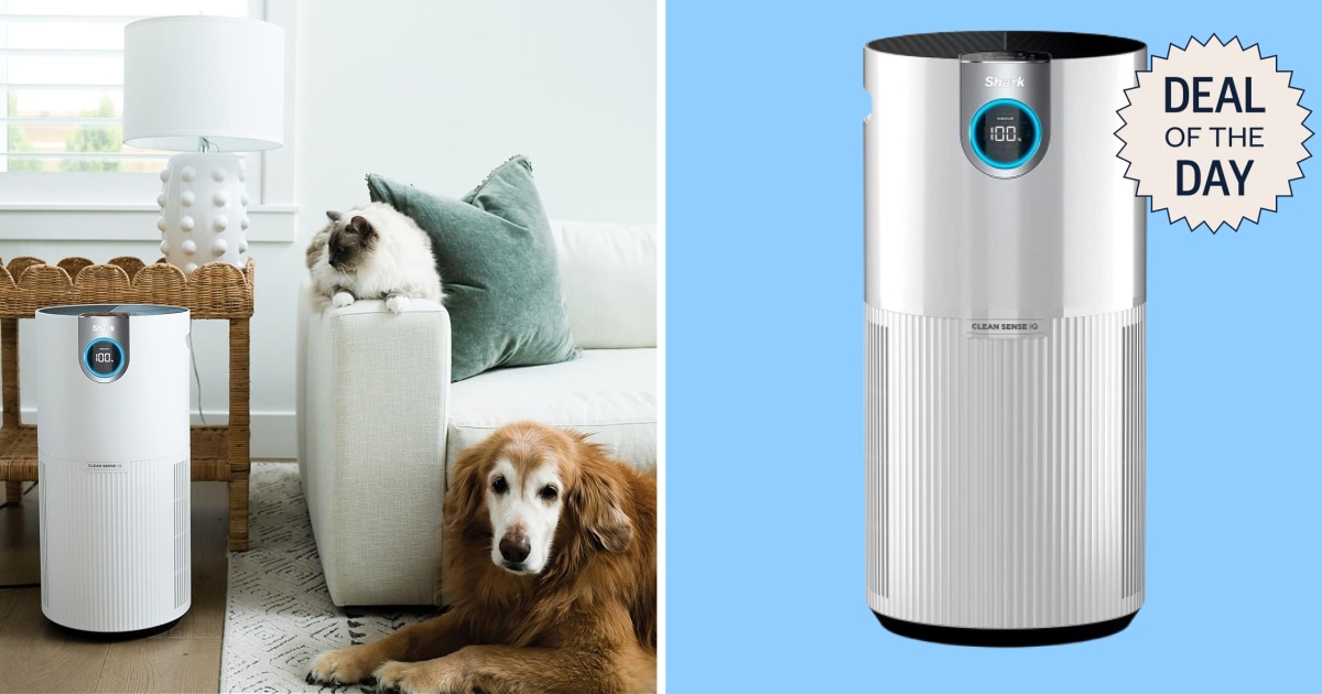 Deal of the Day: this powerful Shark Air Purifier is almost 50% off