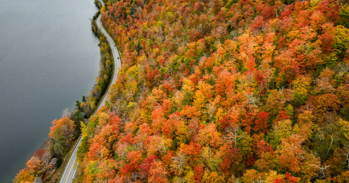 Bright, brief and early: New England's fall foliage may not last long