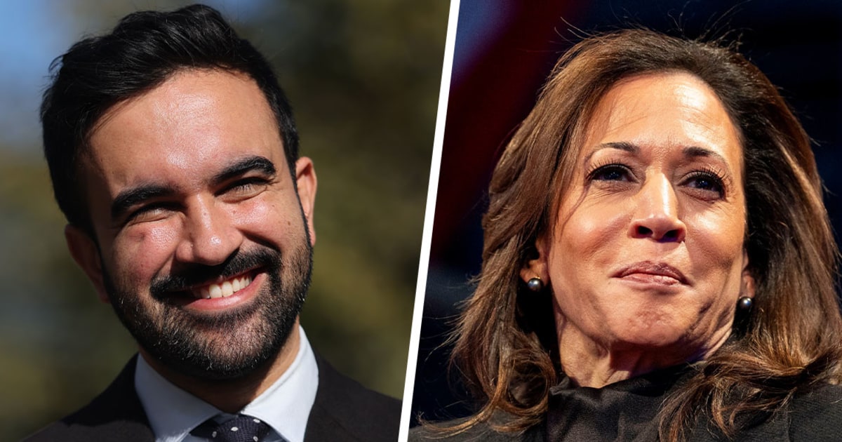 Kamala Harris gives Zohran Mamdani a tepid endorsement: 'I endorse the Democrat in the race'