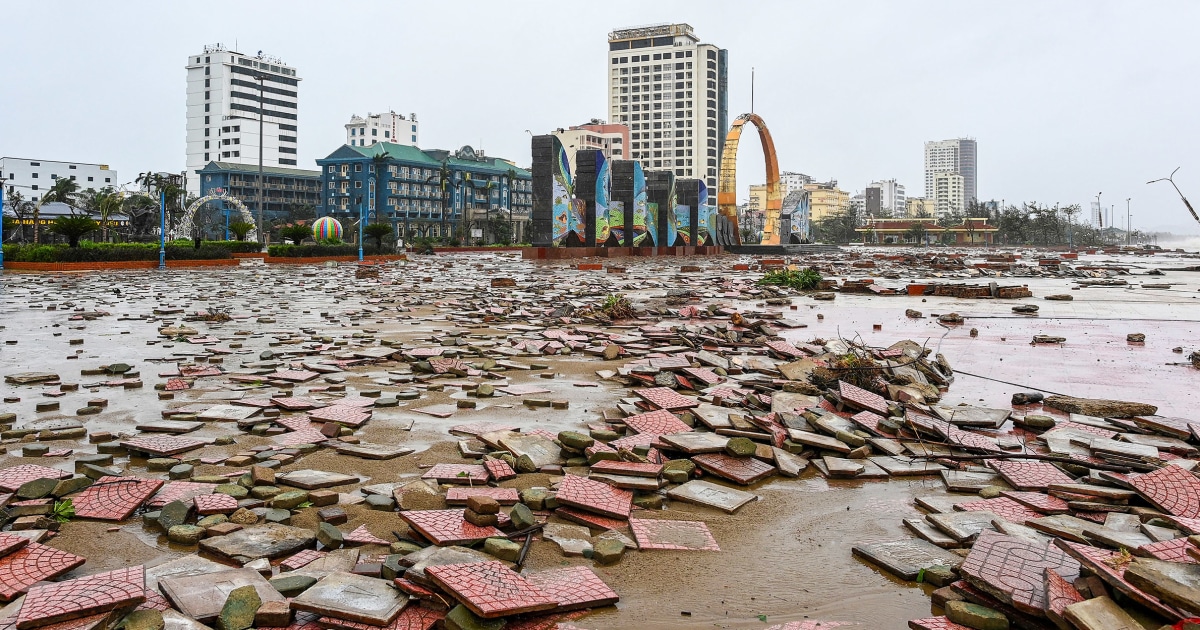 Eight dead and 17 missing as Typhoon Bualoi hits Vietnam