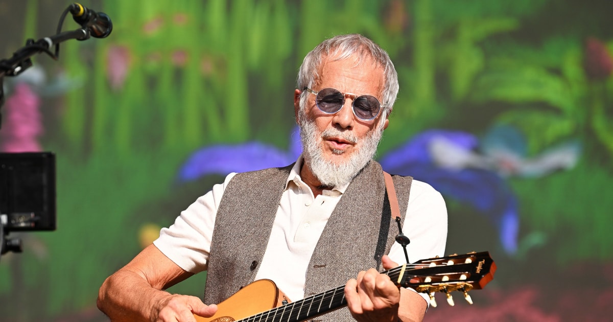 Cat Stevens postpones North American tour and cites visa issues