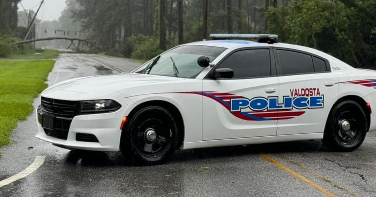 2-year-old Georgia boy killed by dogs at daycare while owner said she napped