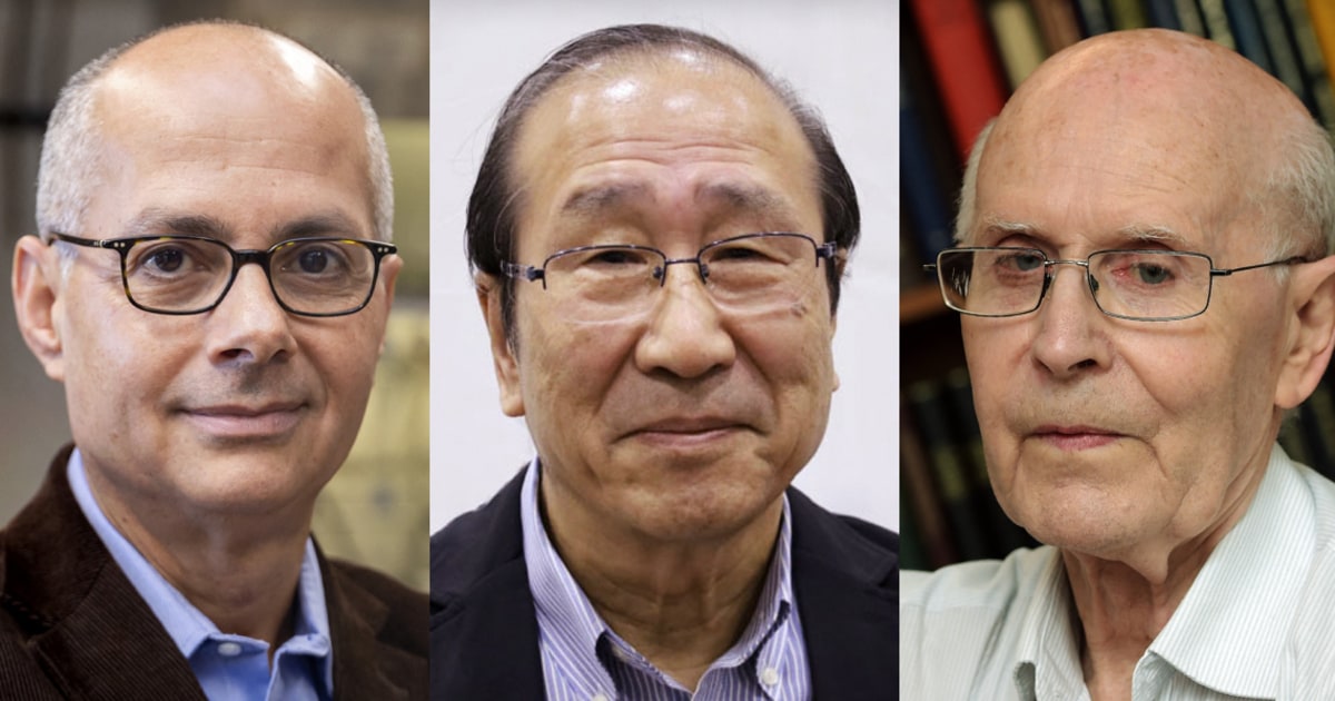 Three scientists win chemistry Nobel for 'Hermione's handbag' discovery