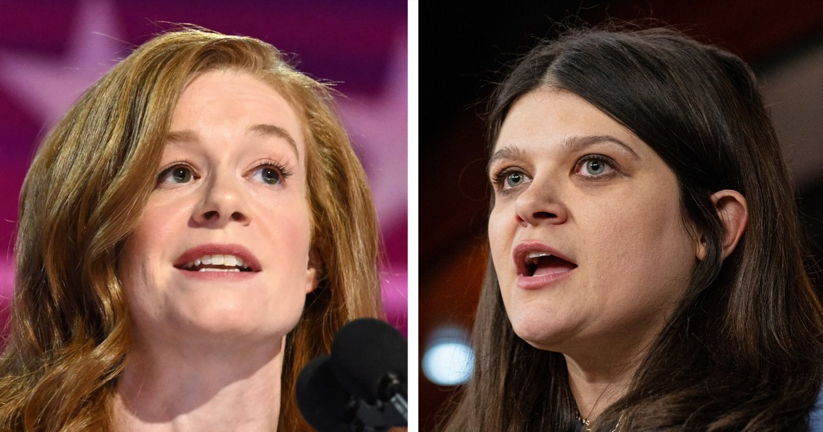 Why a Michigan Senate candidate keeps talking about beekeeping in her campaign