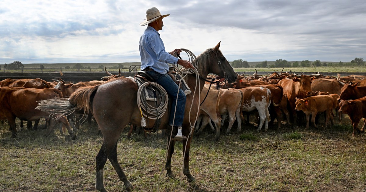 Trump's Argentina beef import plan will 'harm' U.S. ranchers, industry warns