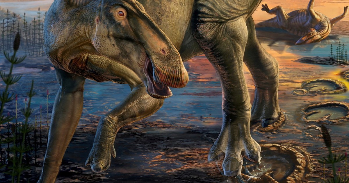 Wyoming dinosaur 'mummies' reveal a surprise: Hoofed feet