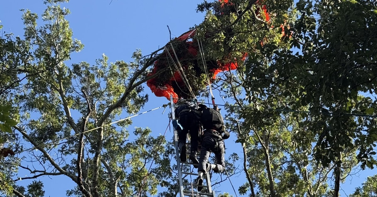 Instructor dies in Nashville skydiving incident; 2nd skydiver rescued from tree