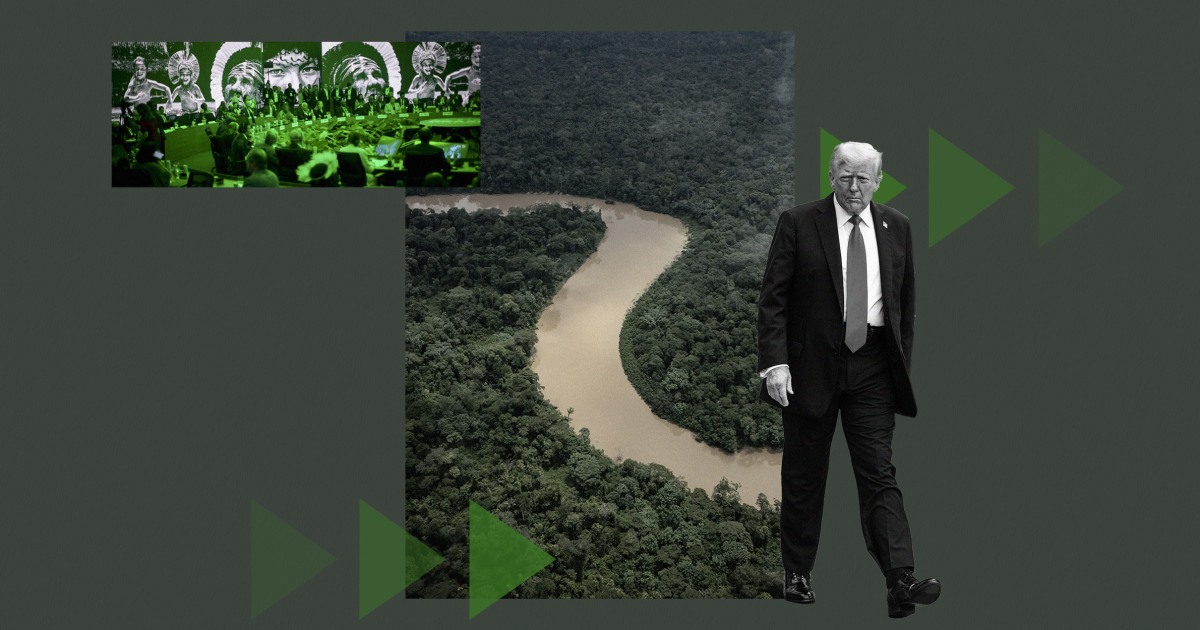 
                            Trump's absence from COP30 could be good for the climate