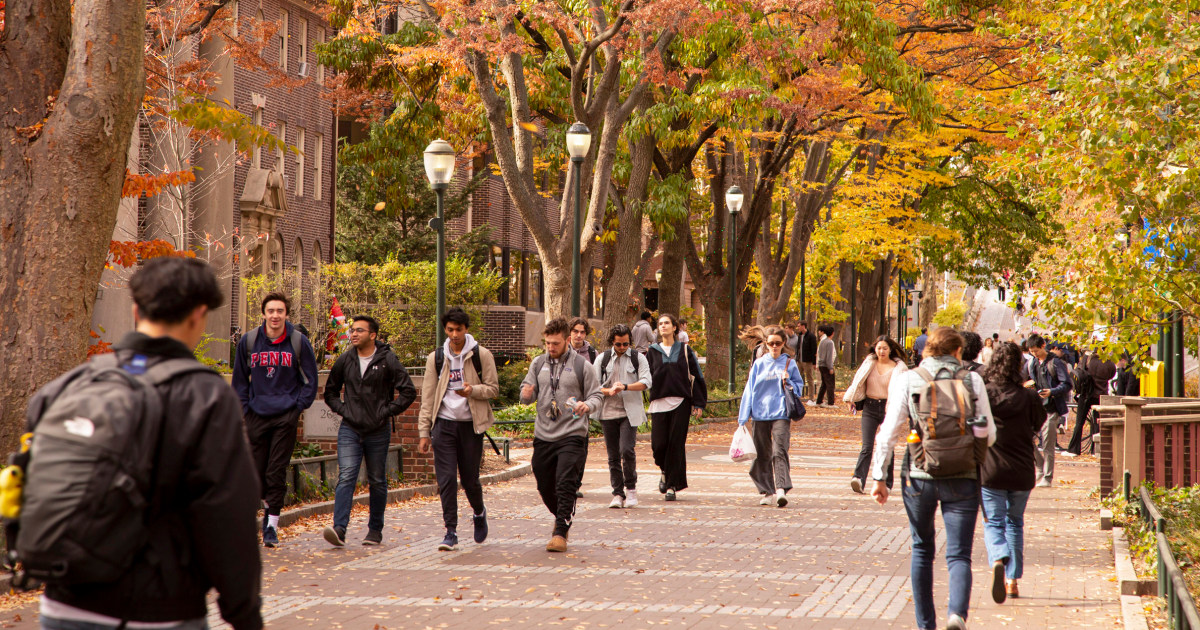 New International Student Enrollment Fell Sharply This Year