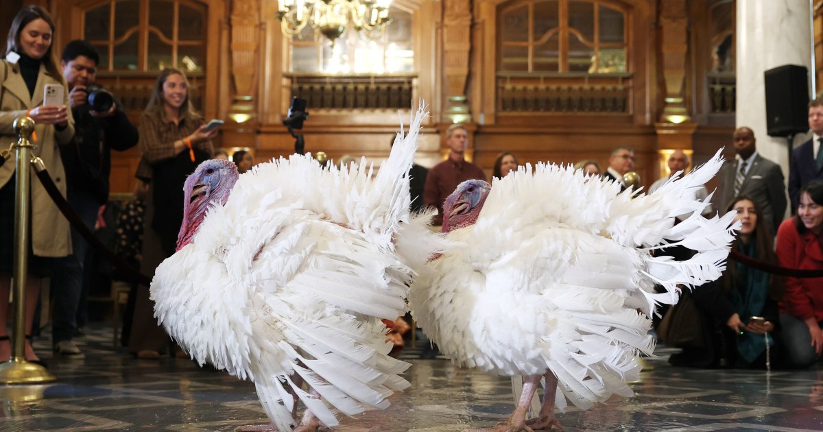 Trump provides two Thanksgiving turkeys to his lengthy record of second-term pardons