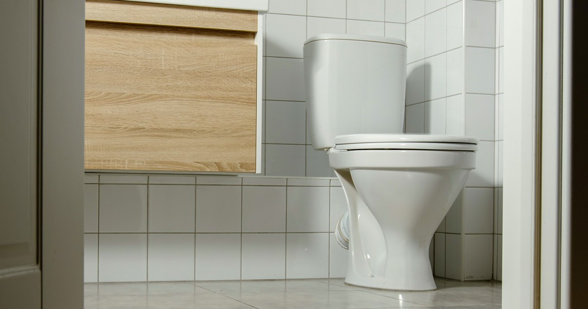 Toilet rats? Washington health officials warn of possible rodents in sewer systems after floods