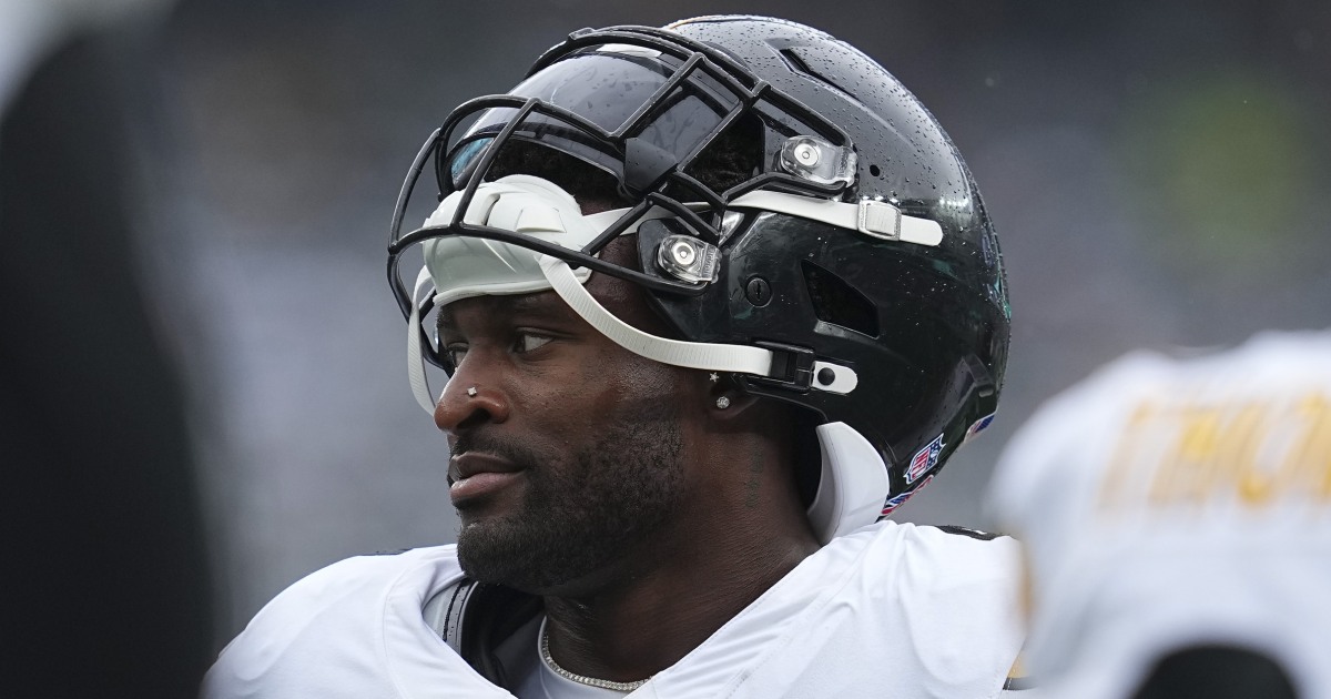 Steelers star DK Metcalf takes swing at fan during sideline altercation