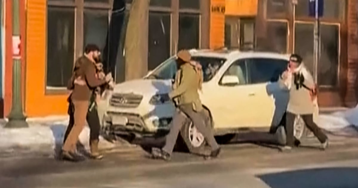 The Border Patrol’s killing of Alex Pretti in Minneapolis has revived concerns about whether immigration enforcement officers are properly trained to deal with protesters.