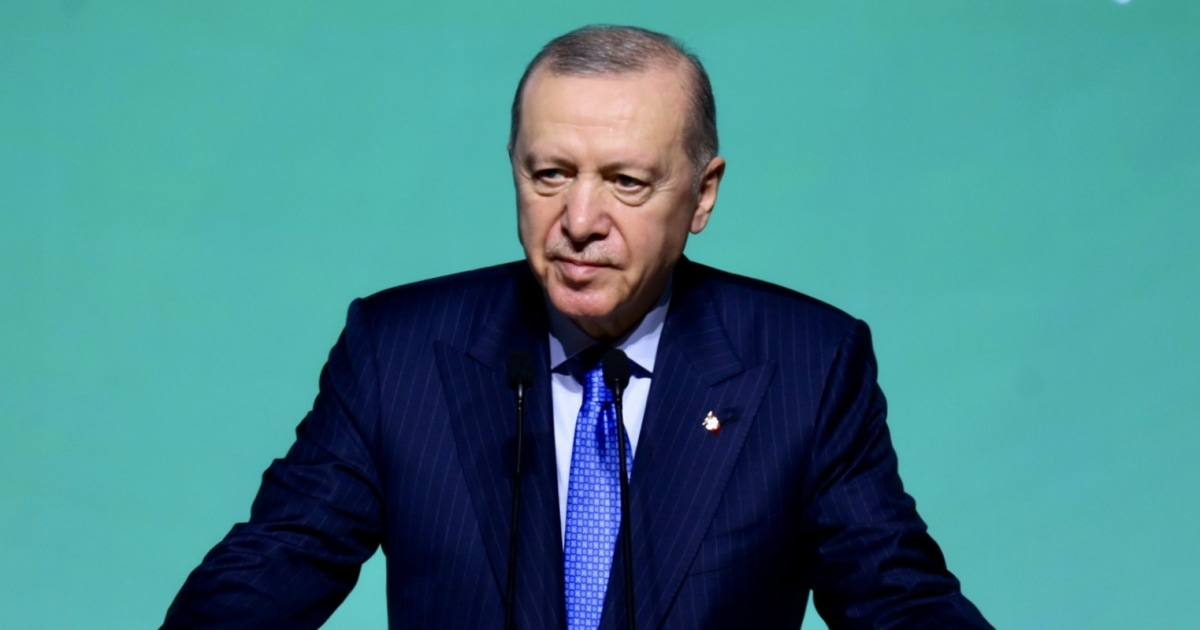 Turkish authorities arrest Deutsche Welle journalist for alleged President Erdogan insult