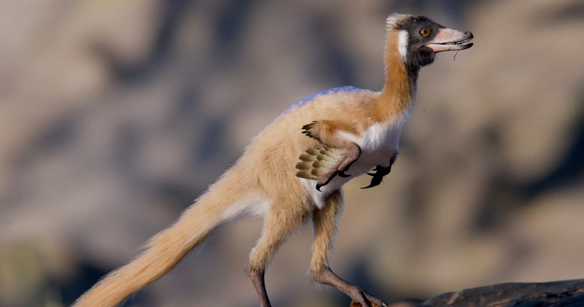 Exquisite Fossil Of One Of The Smallest Dinosaurs Found In Argentina Exquisite Fossil Of One Of The Smallest Dinosaurs Found In Argentina
