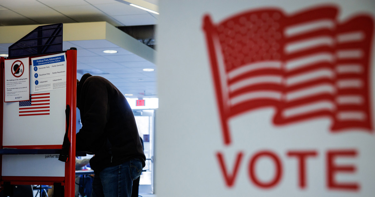 'Not a done deal': Democrats start to sweat over Virginia's redistricting referendum