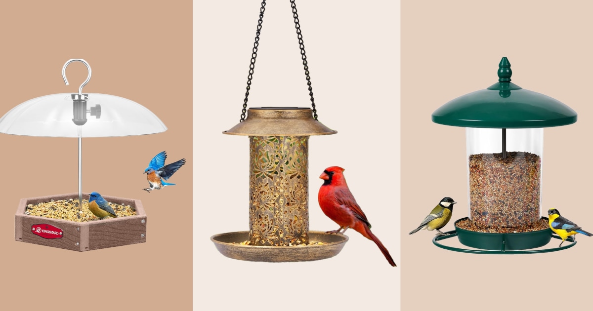 Attract pretty feathered friends to your yard or front porch with these expert-recommended bird feeders