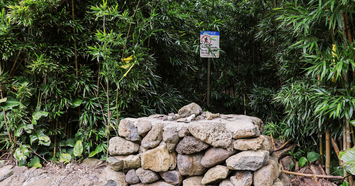 Wife of Maui doctor describes terrifying birthday hike during attempted murder trial