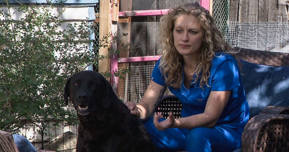 Meth-laced hot dogs have twice sickened a family's pups. Police don't know who's responsible or why