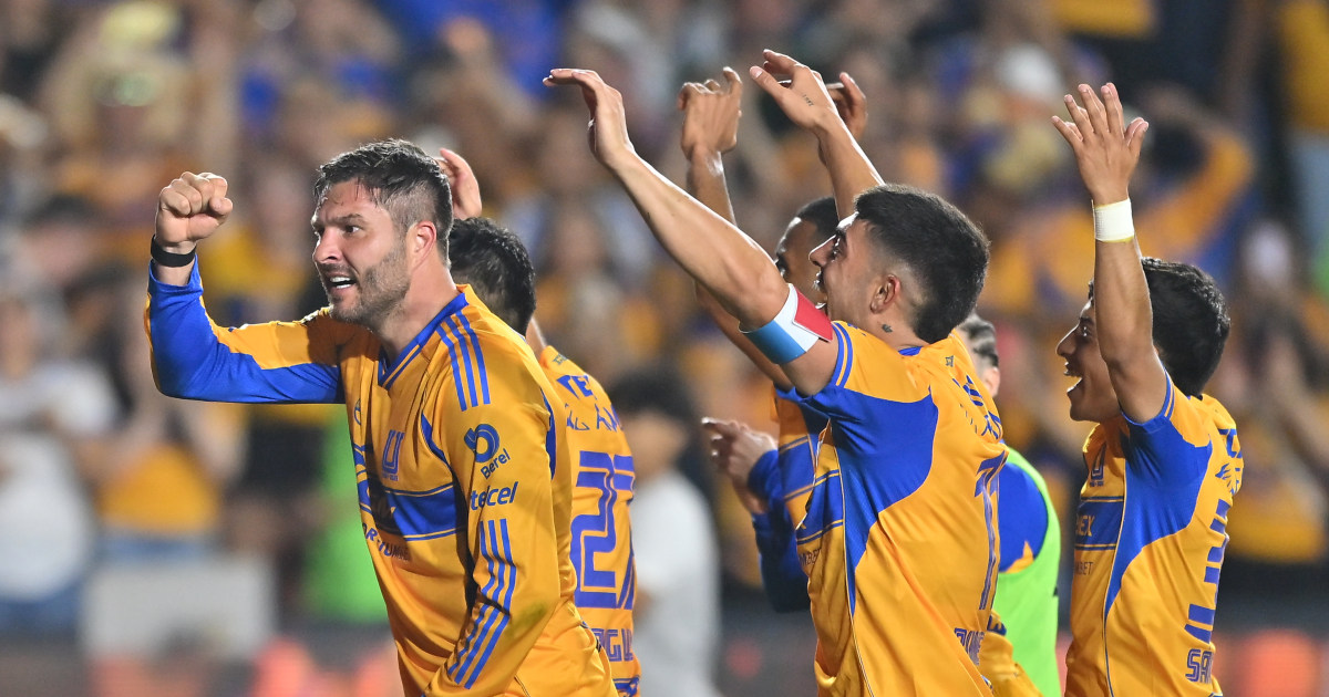 ¿Cómo y dónde ver? Tigres vs Querétaro EN VIVO | Jornada 11, Clausura ...