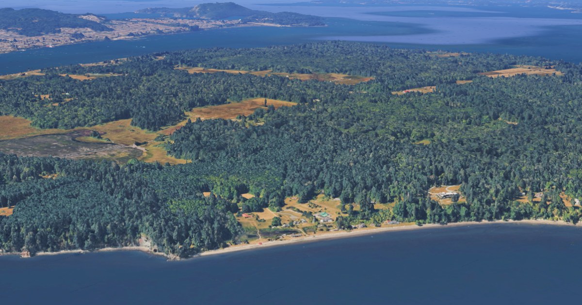 'Horror movie': 21 dead canines mysteriously wash ashore on Washington state island