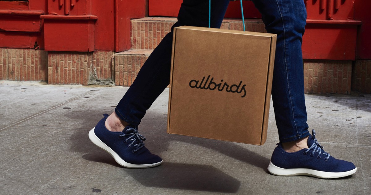 Allbirds, Once A Buzzy Shoe Startup, Pivots To Ai - Beritaja