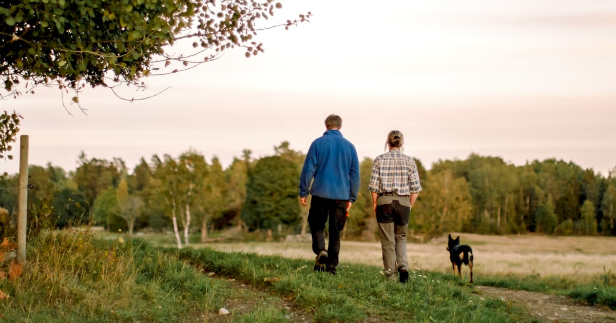 What Does It Take To Protect Brain Health? 10 Habits To Start Now - Beritaja