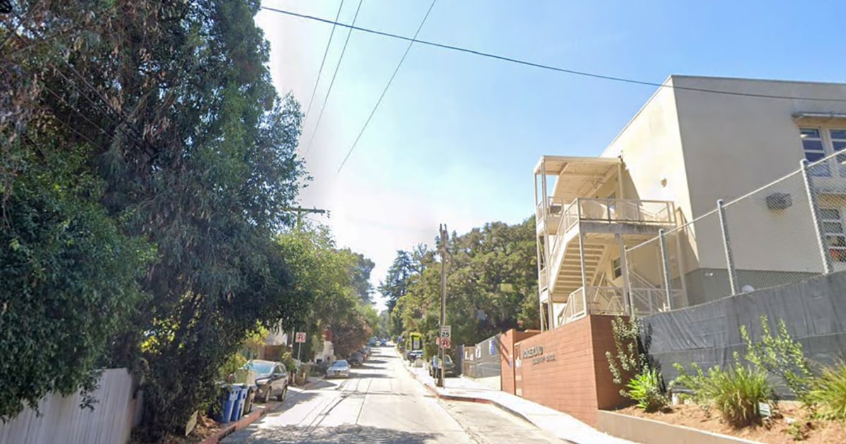 Budget Rent A Car Heiress Assaulted And Strangled During A California Home Invasion - Beritaja