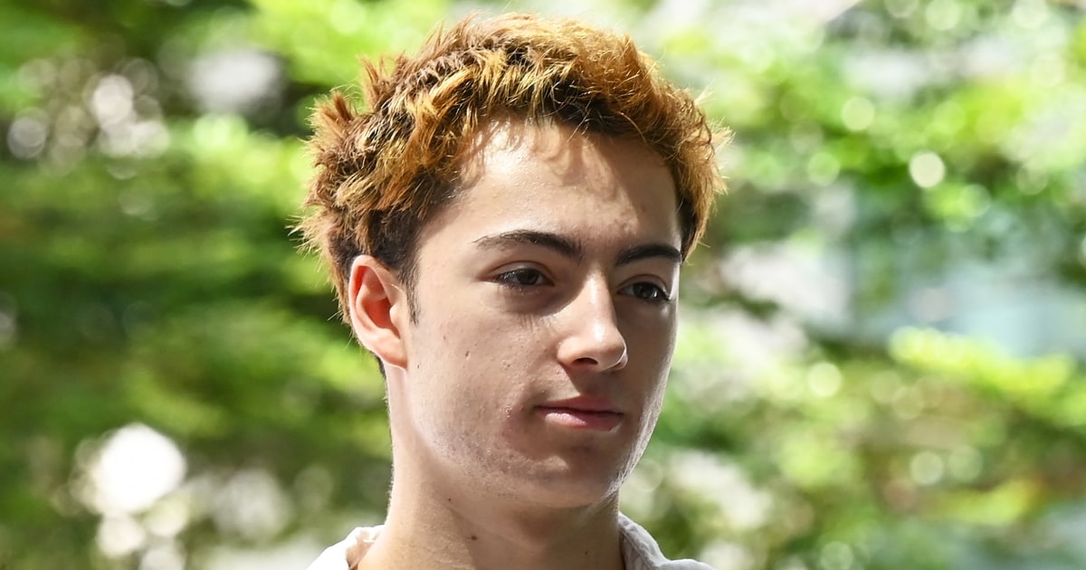 French Teen Charged In Singapore Over A Vending Machine Straw-licking Video - Beritaja