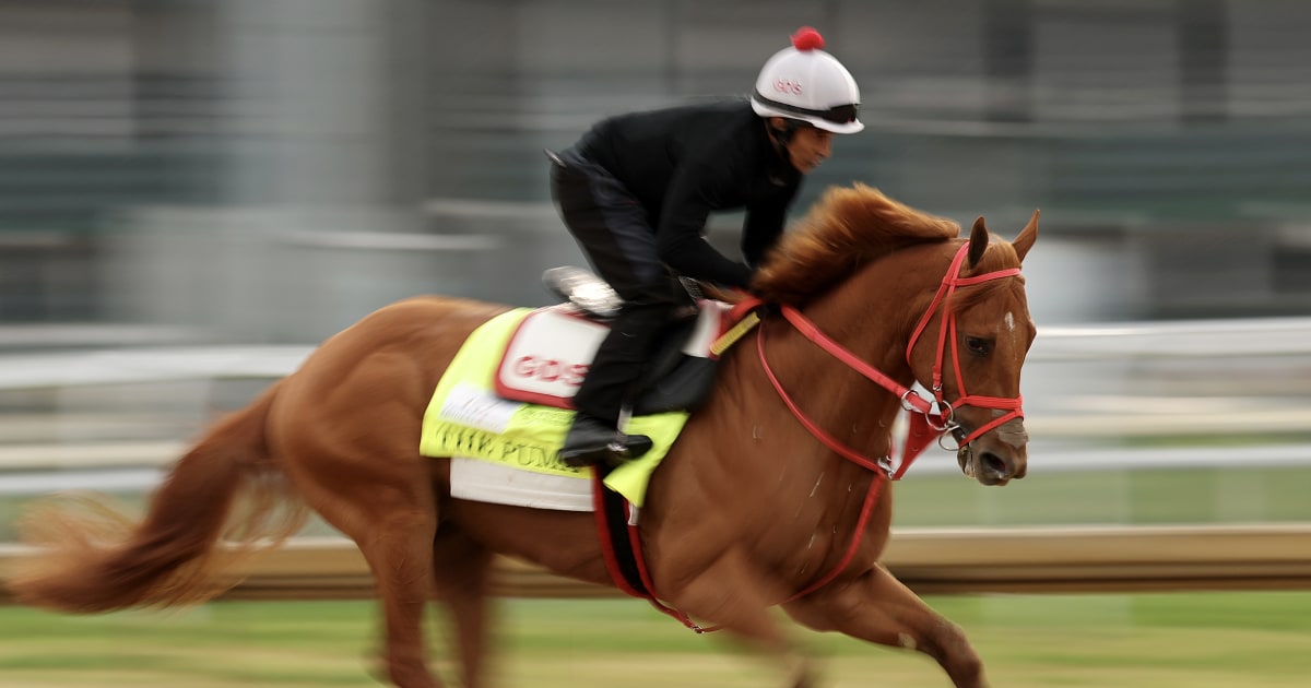 2026 Kentucky Derby Guide: Date, Location, Time, Tv Channels, Betting Favorites And More