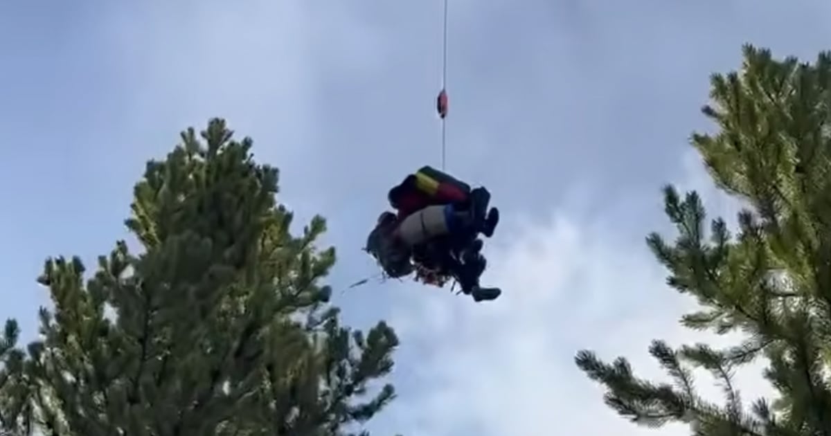 2 hikers injured in bear attack on Yellowstone trail - BERITAJA