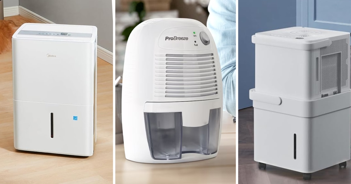 The Best Dehumidifiers Of 2026, According To Experts - Beritaja